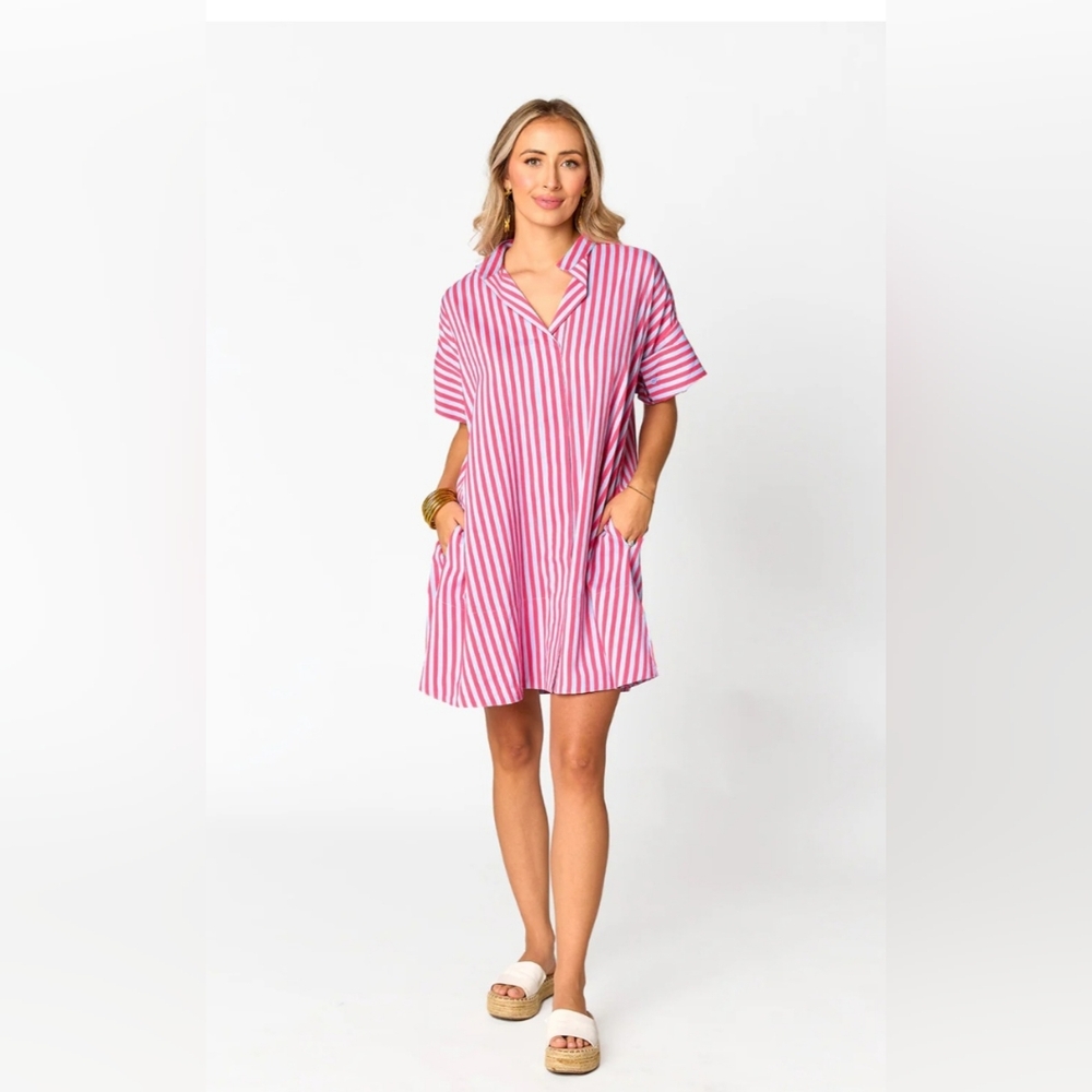 Striped Pink Button Down Dress